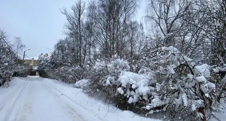   Единый портал торгов Московской области ЕАСУЗ