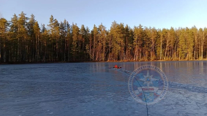 Фото: https://t.me/acclenobl/3921