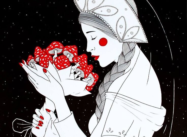 Когда и как собирать травы