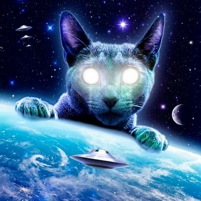 Яндекс картинки