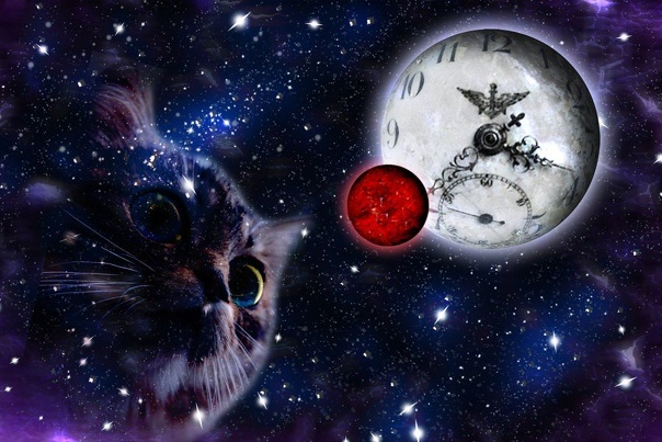 Яндекс картинки