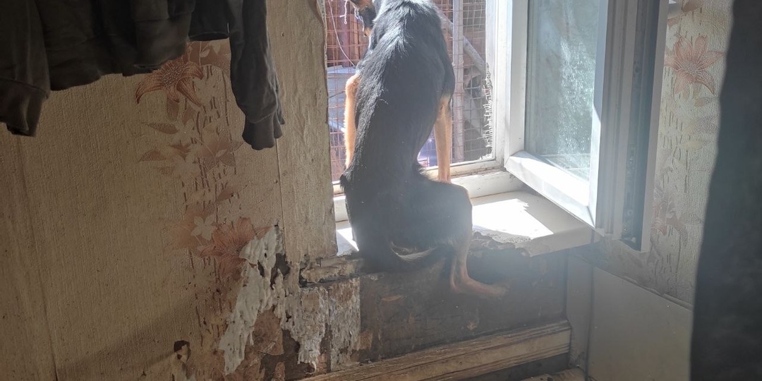 Их жизни Счастливых