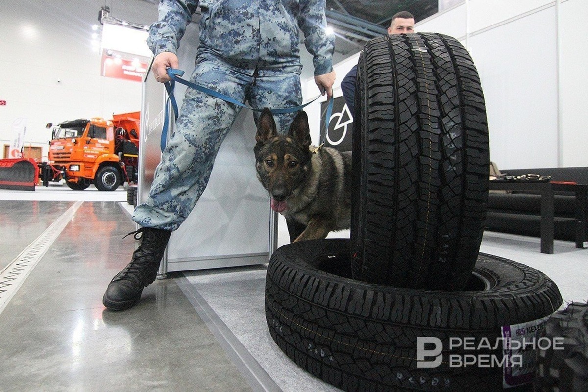   Михаил Захаров / realnoevremya.ru