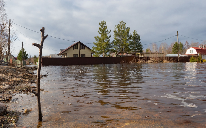    Игорь Подгорный