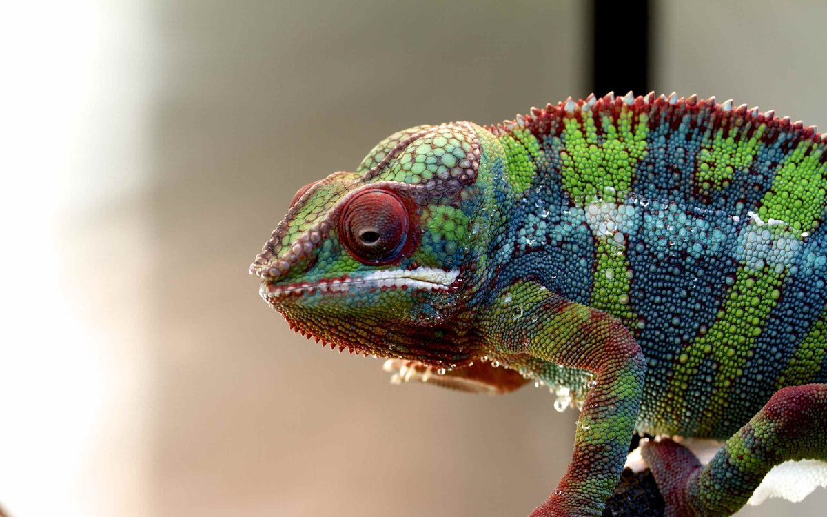 Фото иллюстративное