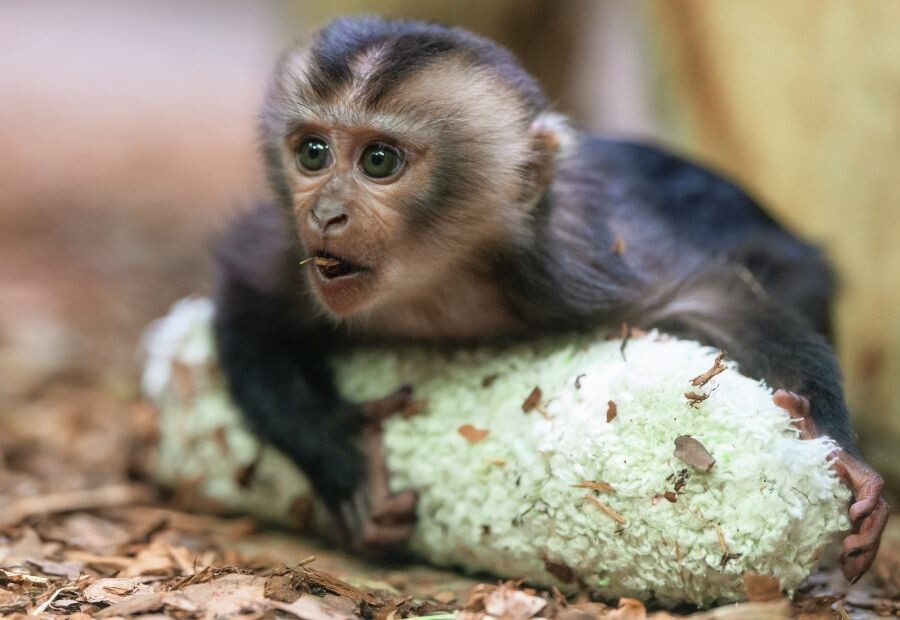     / Источник: © Алексей Даничев/РИА Новости