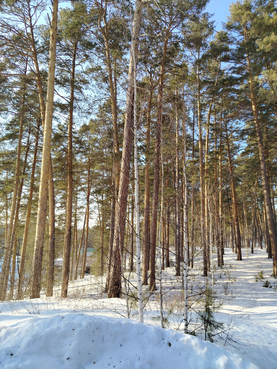 Территория санатория