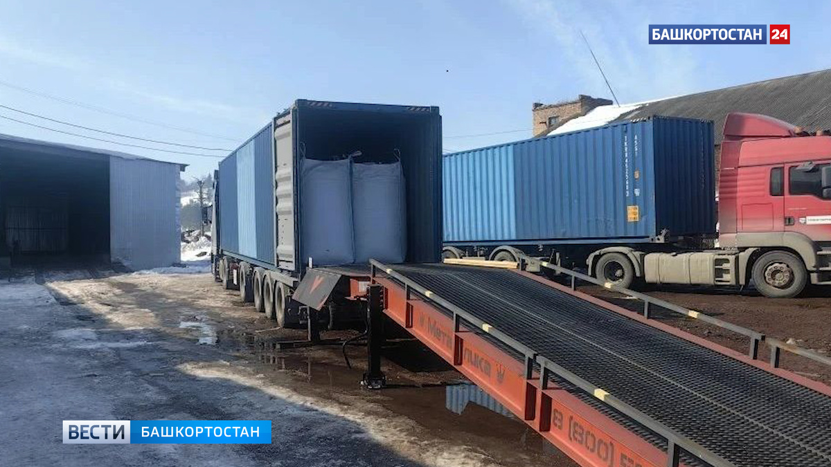    В Башкортостане обновленный элеватор отправит на экспорт более 1,6 тысячи тонн масличного льна