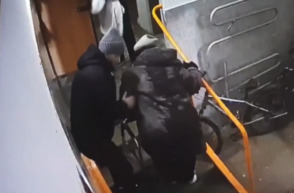     Домашняя овчарка напала на пожилую женщину в красноярском Академгородке