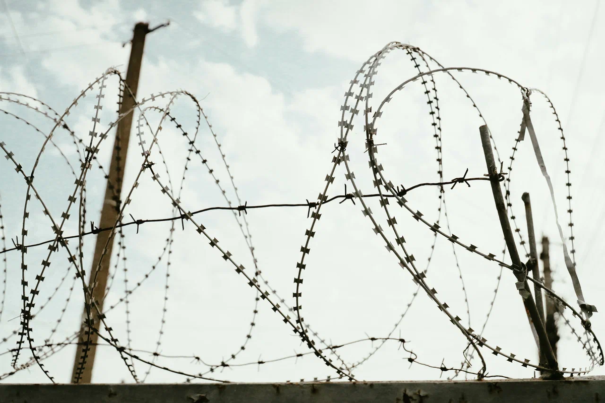    Фото: ТРК «Таврия»