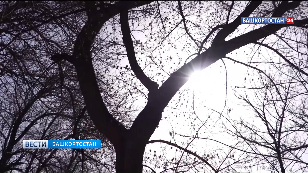    26 марта в Башкортостане будет пасмурно, возможен дождь и туман