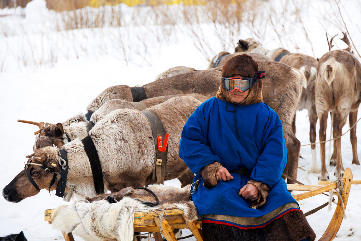 фото: Андрей Понамарёв / АНО «Ямал-Медиа»