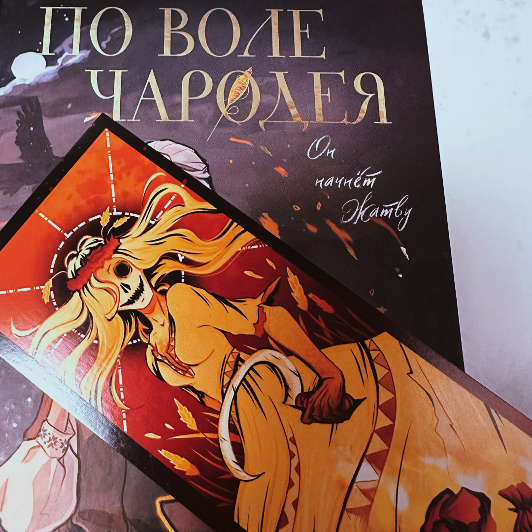 Фото Анны Карповой/Книжная лавка: жизнь любителя почитать