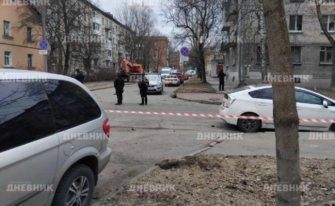    © «Петербургский дневник»