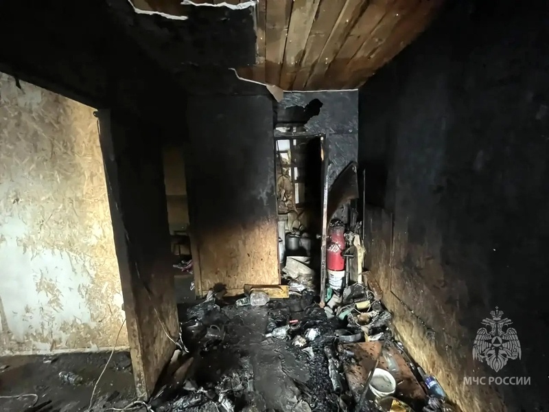    Фото: пресс-служба ГУ МЧС России по Пензенской области