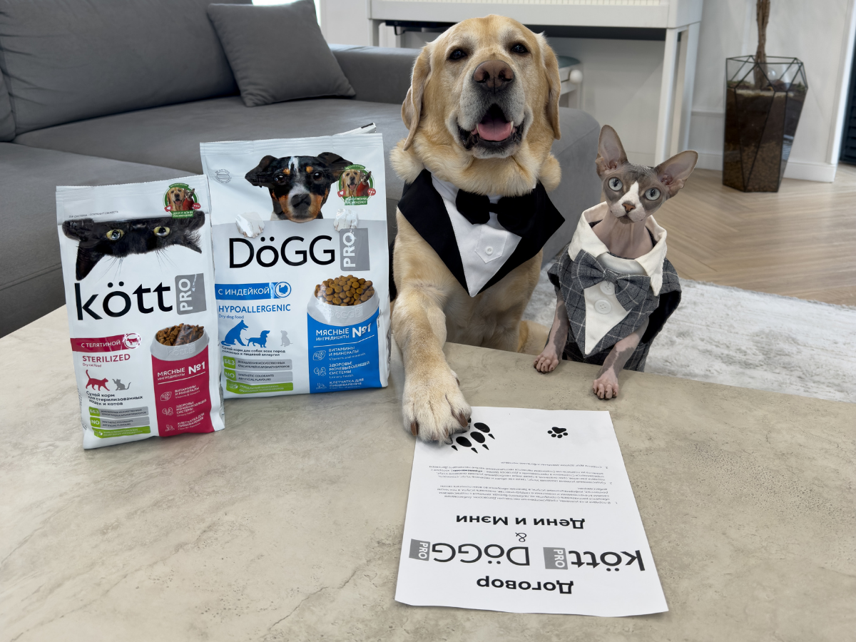 Дени и Мэни официально амбассадоры бренда KottPro & DoggPro