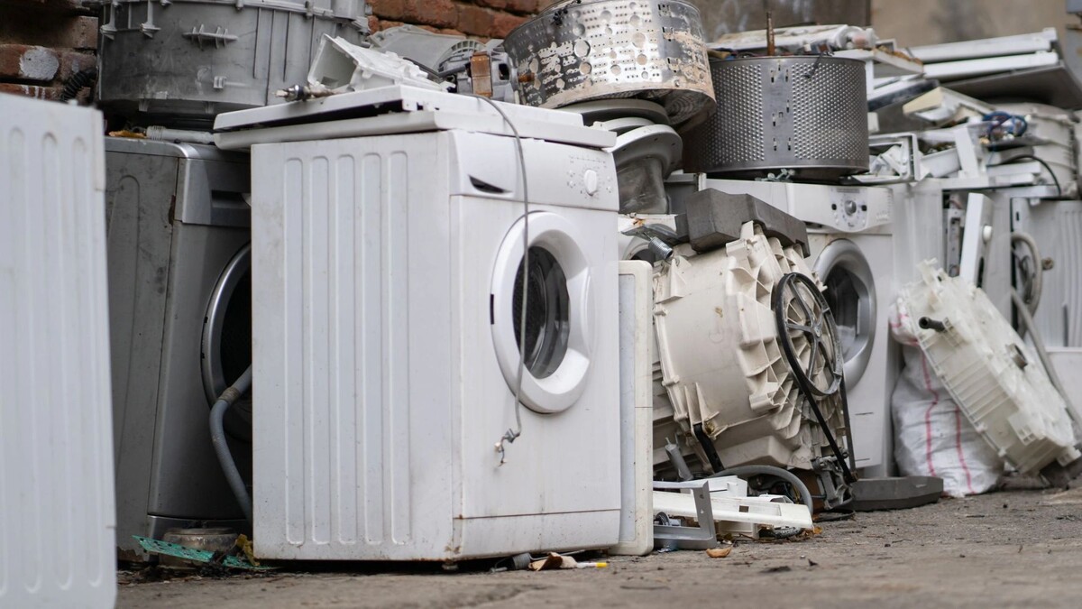    Фото:DimaBerlin/Shutterstock/Fotodom