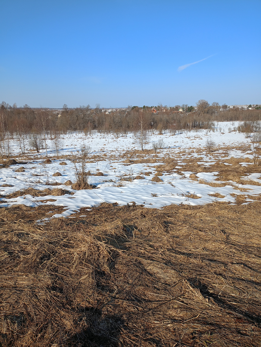Вид сверху на бывшее барское поместье. В кустах (зарослях)тот самый пруд. Летом там полно крапивы.. И вообще , на первый взгляд, ничем не притягательное место. 26.03.2026