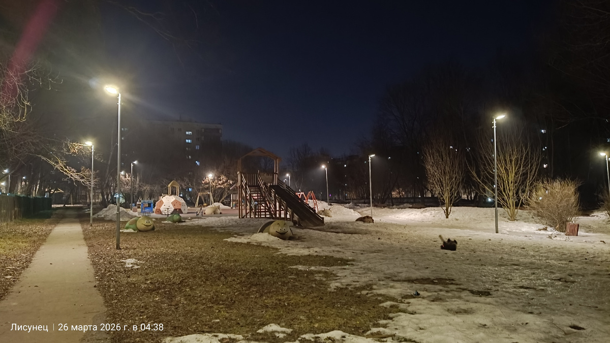Собакин волчется  в оставшемся снегу.фото автора.