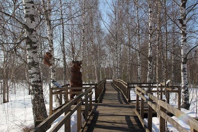 Экотропа "Земля оленей" в Керженском заповеднике
