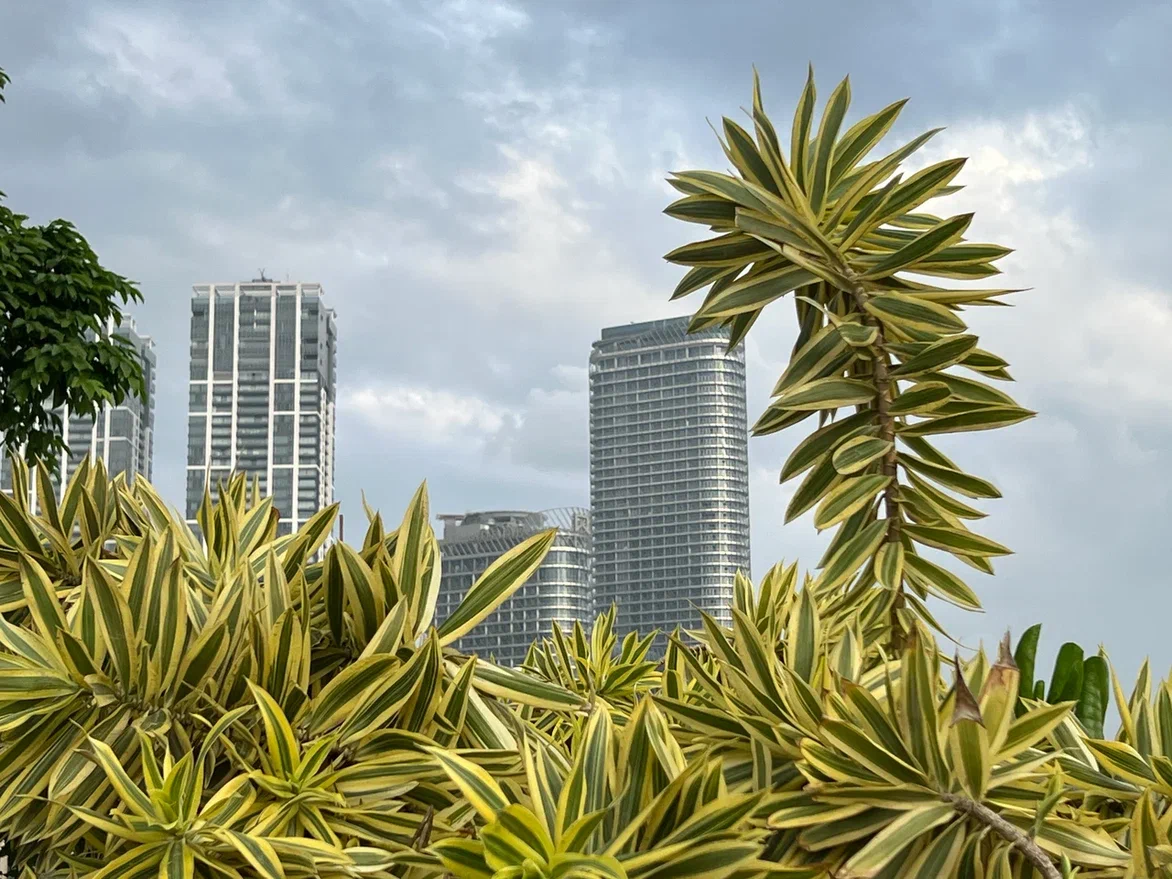 Шри-Ланка, Коломбо. Фото автора