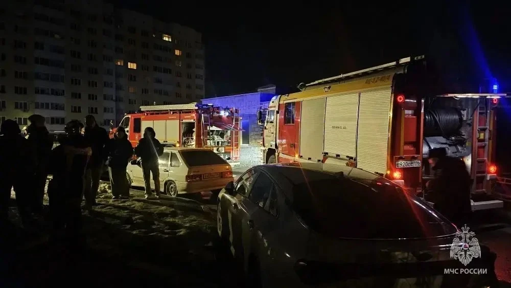     Фото: МЧС Свердловской области