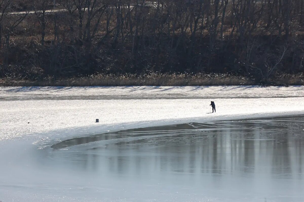    Источник: primamedia.ru/ Алла Бородина
