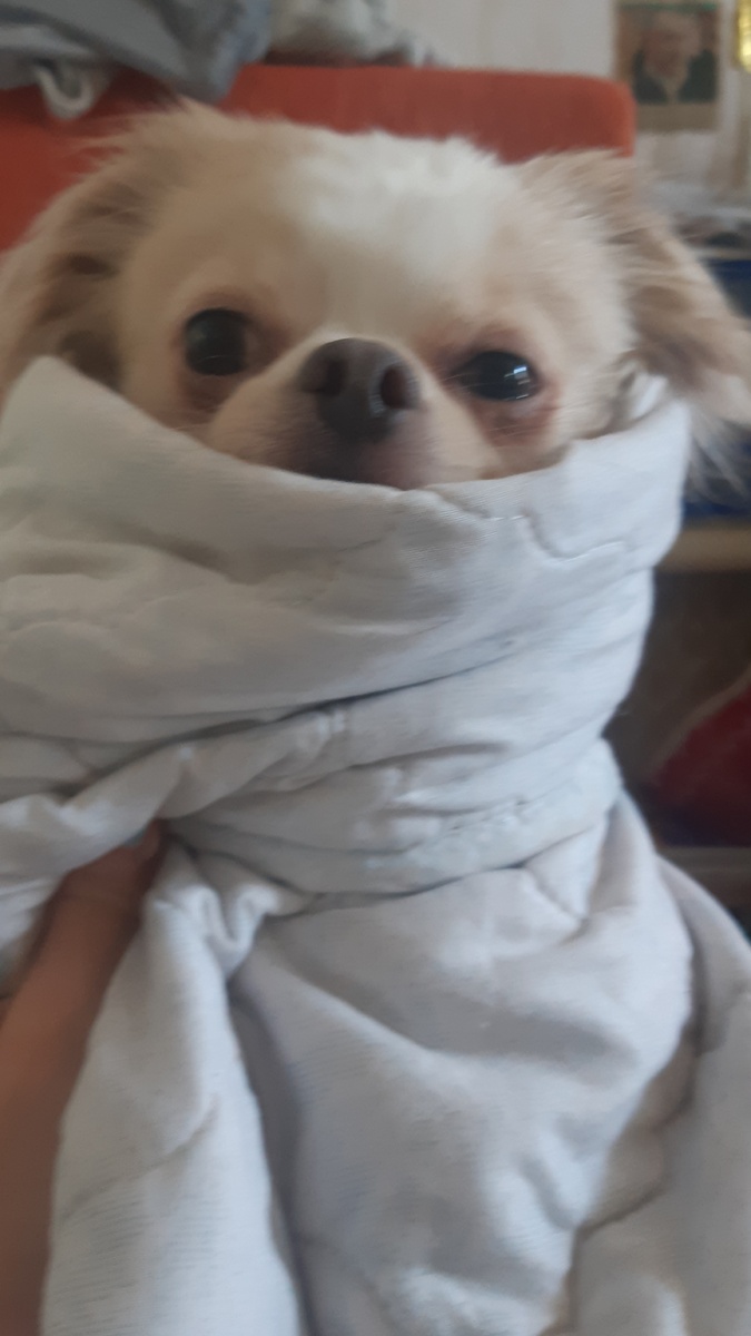 Вот на это лицо мне смотреть приятнее!))