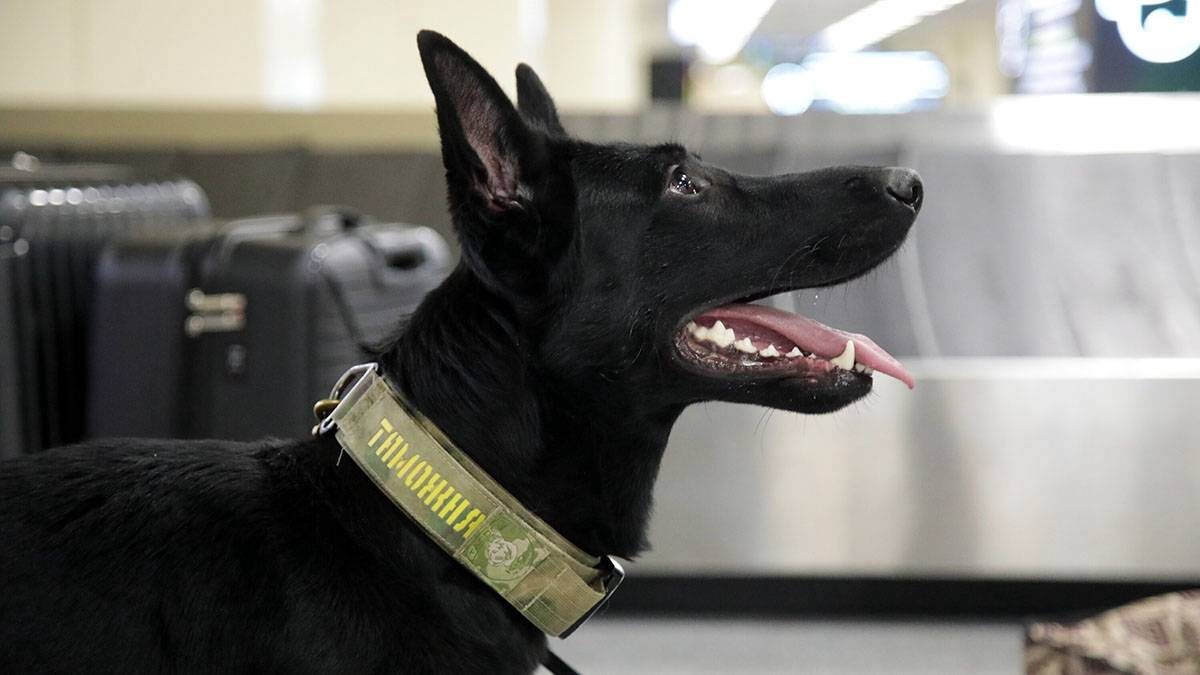    Фото: Артур Новосильцев / АГН Москва