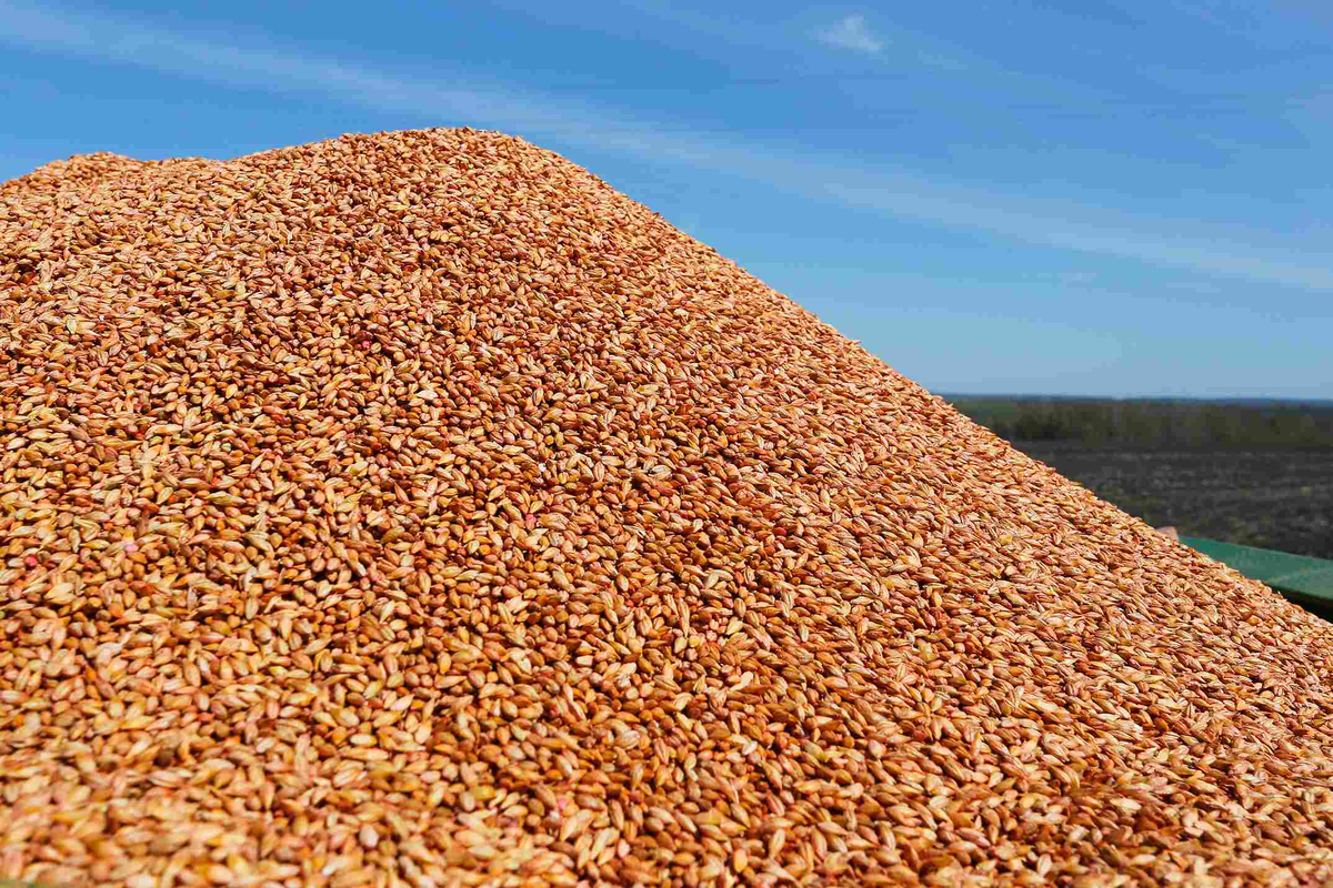 Источник: Поле.РФ