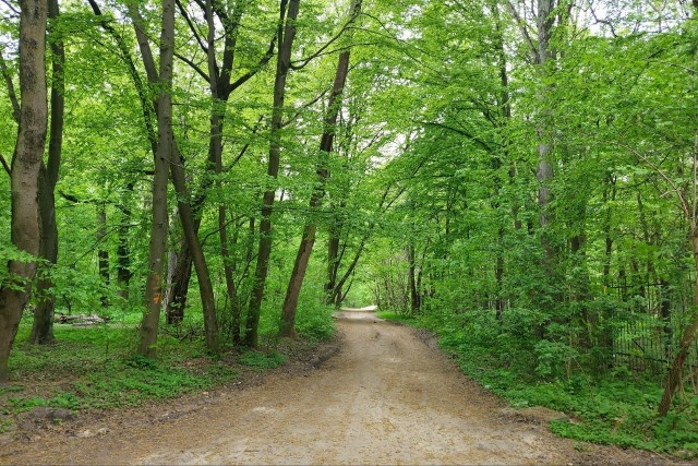   Фото из архива Калининград.Ru