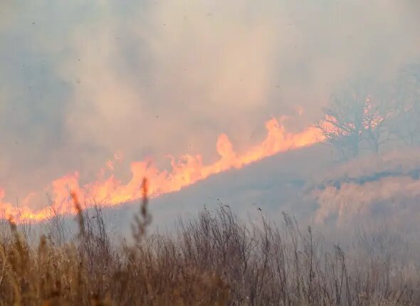    Источник: primamedia.ru/ Олеся Шмелева