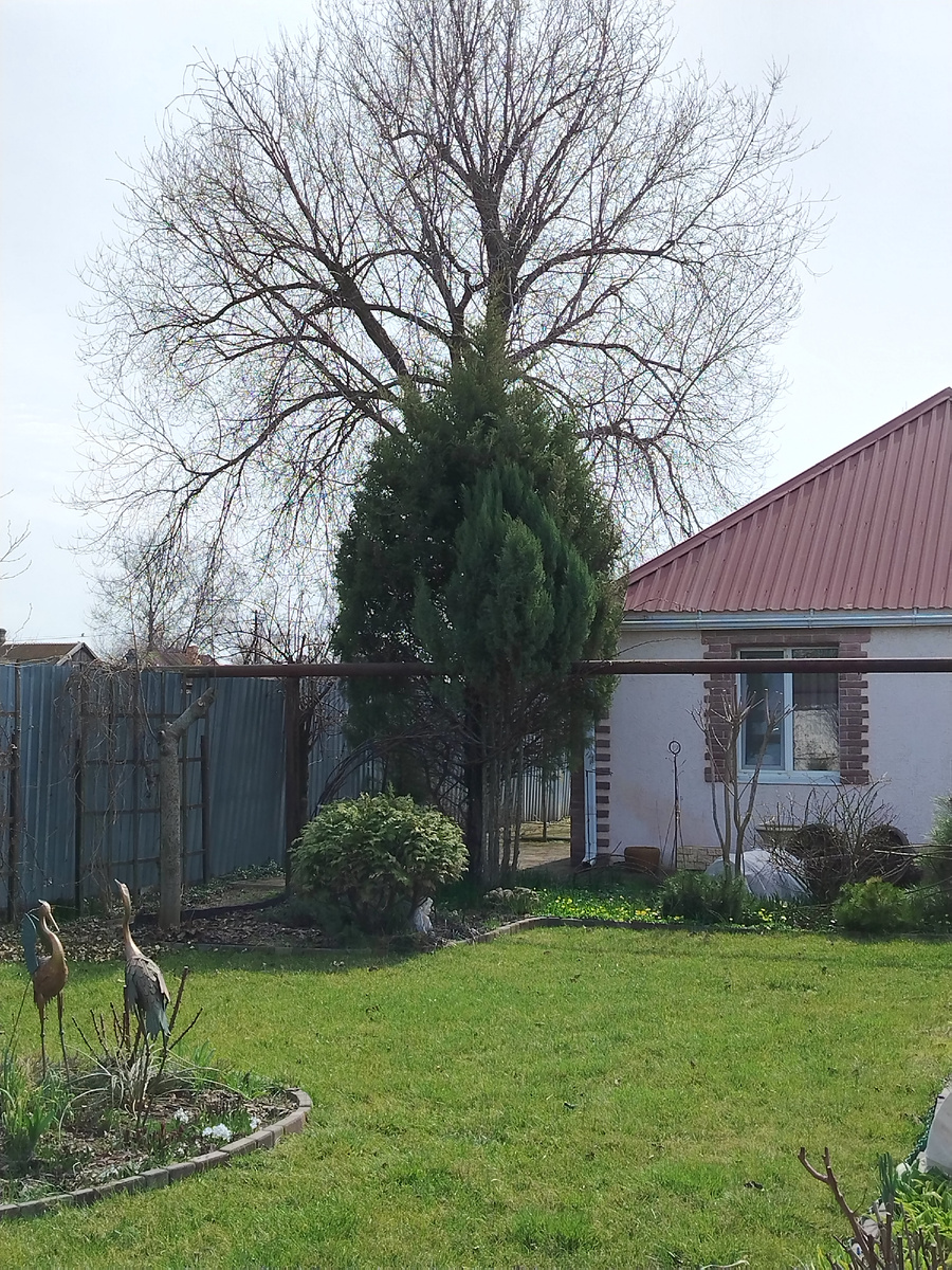 Красиво? Да идеально! 