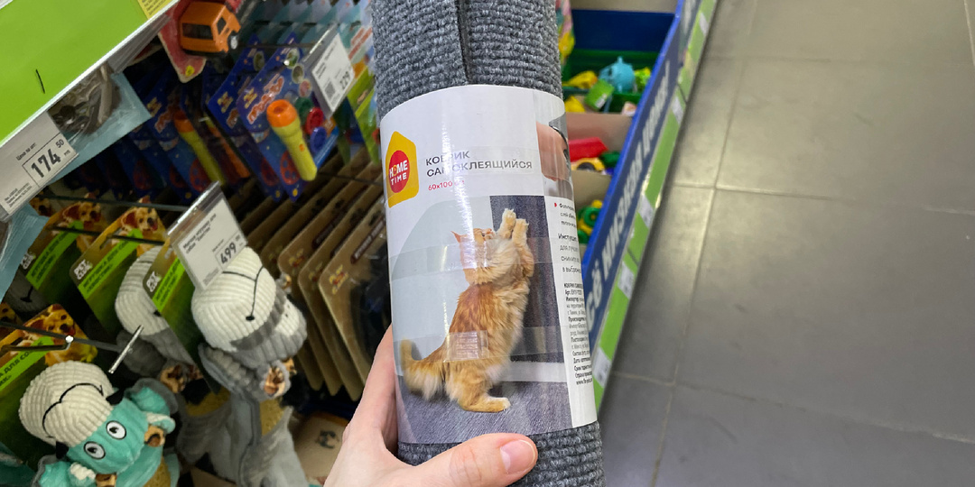 Какие товары для животных завезли в Фикс прайс этой весной. Что я купила для своих котиков