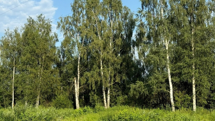    Фото: архив редакции