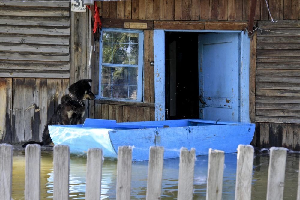    Фото: АиФ/ Виктор Крутов
