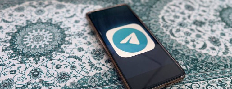 Уральские школьники устроили акцию в поддержку Telegram, но перепутали офис Роскомнадзора и Роскадастра