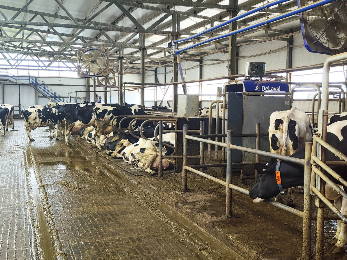 В регионе был введен режим ЧС.  Фото: ФедералПресс / Ксения Кобалия