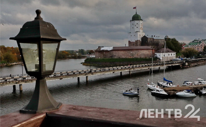    © Анастасия Илюшина / ЛенТВ24. Архивное фото