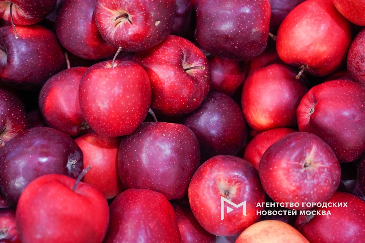 Фотограф: Александр Авилов