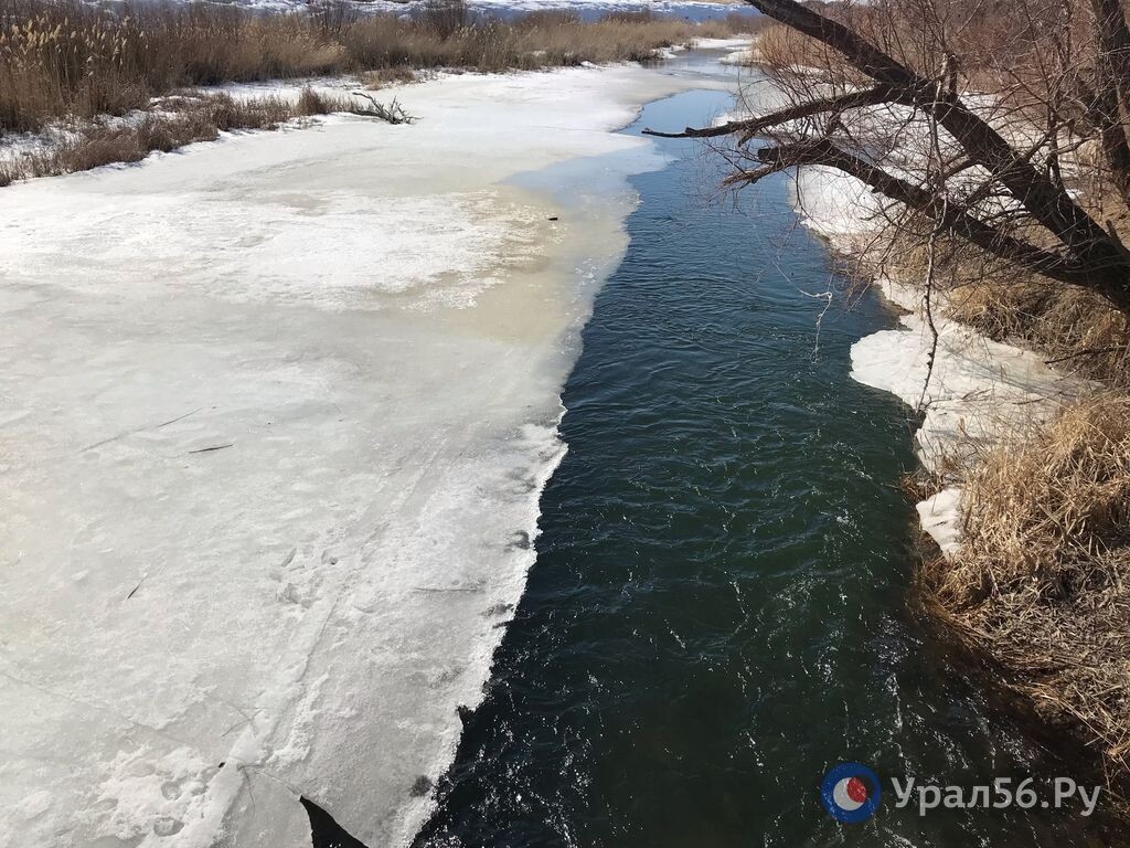    Уровень река Большой Кинель, где в этом году прогнозируют высокий паводок, пока составляет 114 см