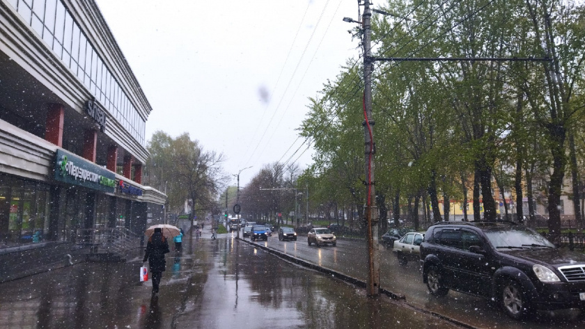    Фото progorod43.ru