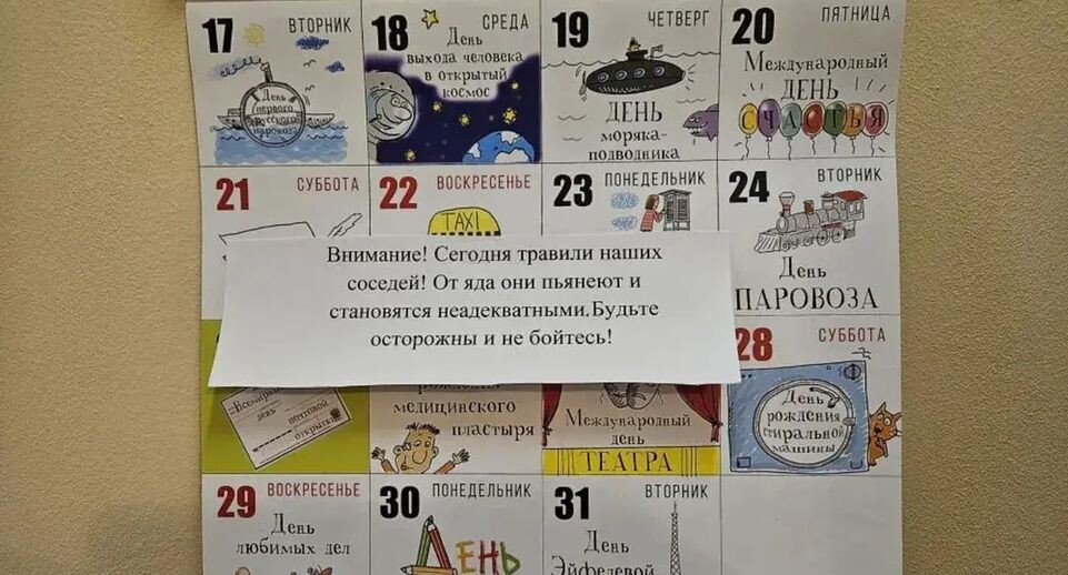    REGIONS/Дарья Недошивина