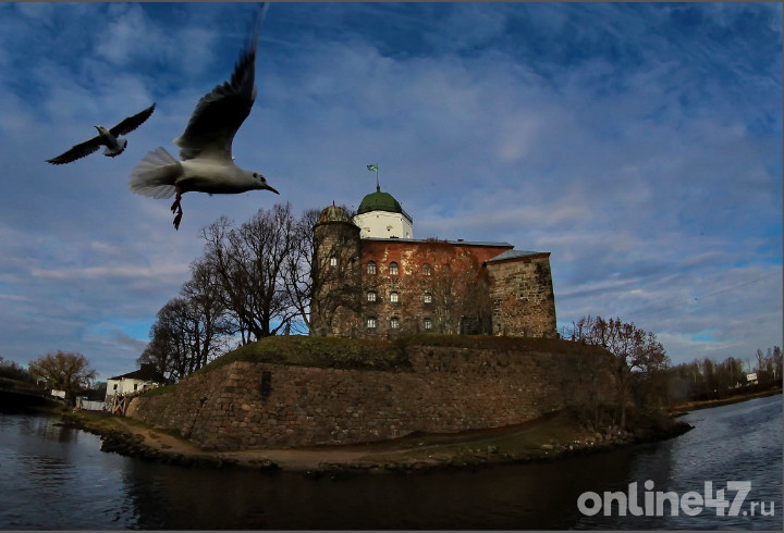 фото: Валентин Илюшин/Online47