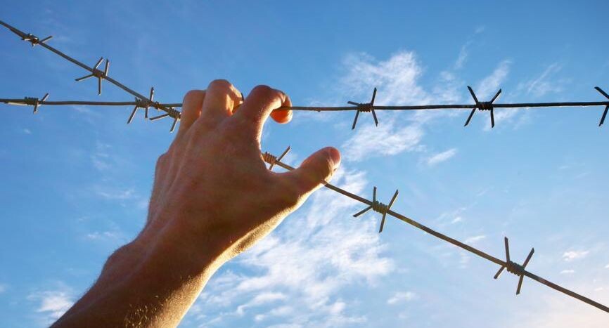    Ingram Publishing / Фотобанк Лори