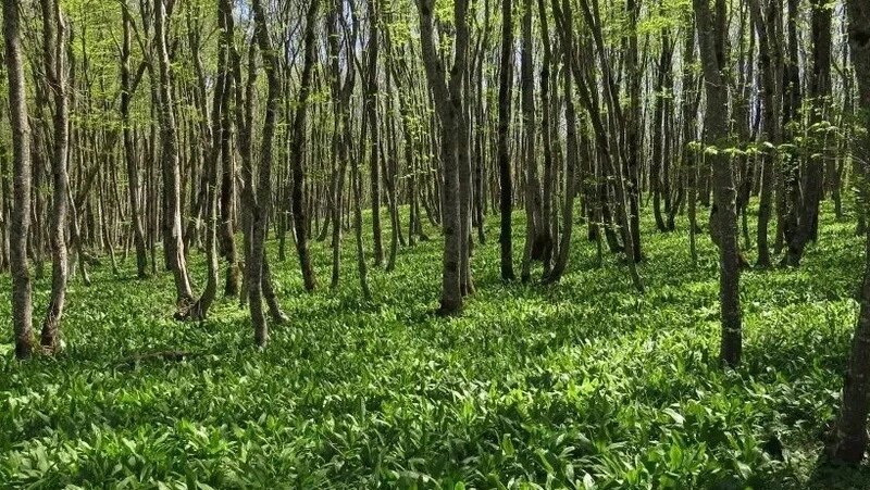      Фото: правительство СК