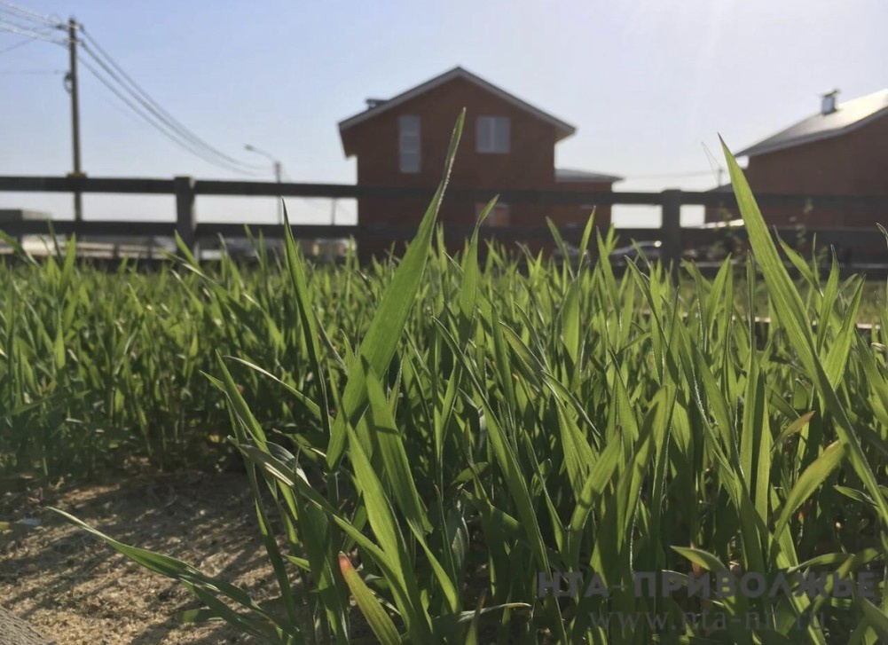    Геологи и ИТ-специалисты смогут получить участки в Саратовской области