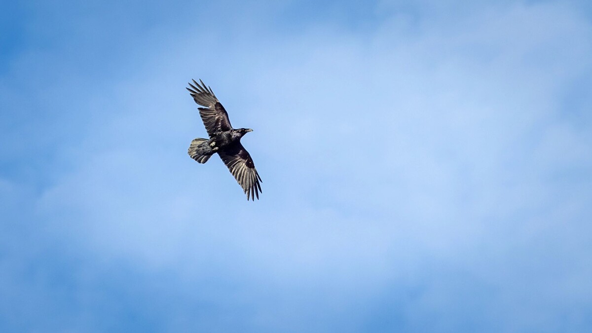    Фото: Федор Воронов / «Ямал-Медиа»