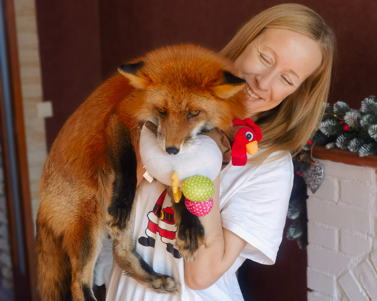 Лиса Василиса с плюшевой курочкой