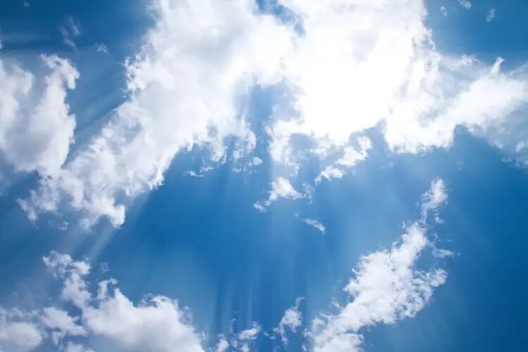    Источник: scientificrussia.ru Екатерина Авдеева